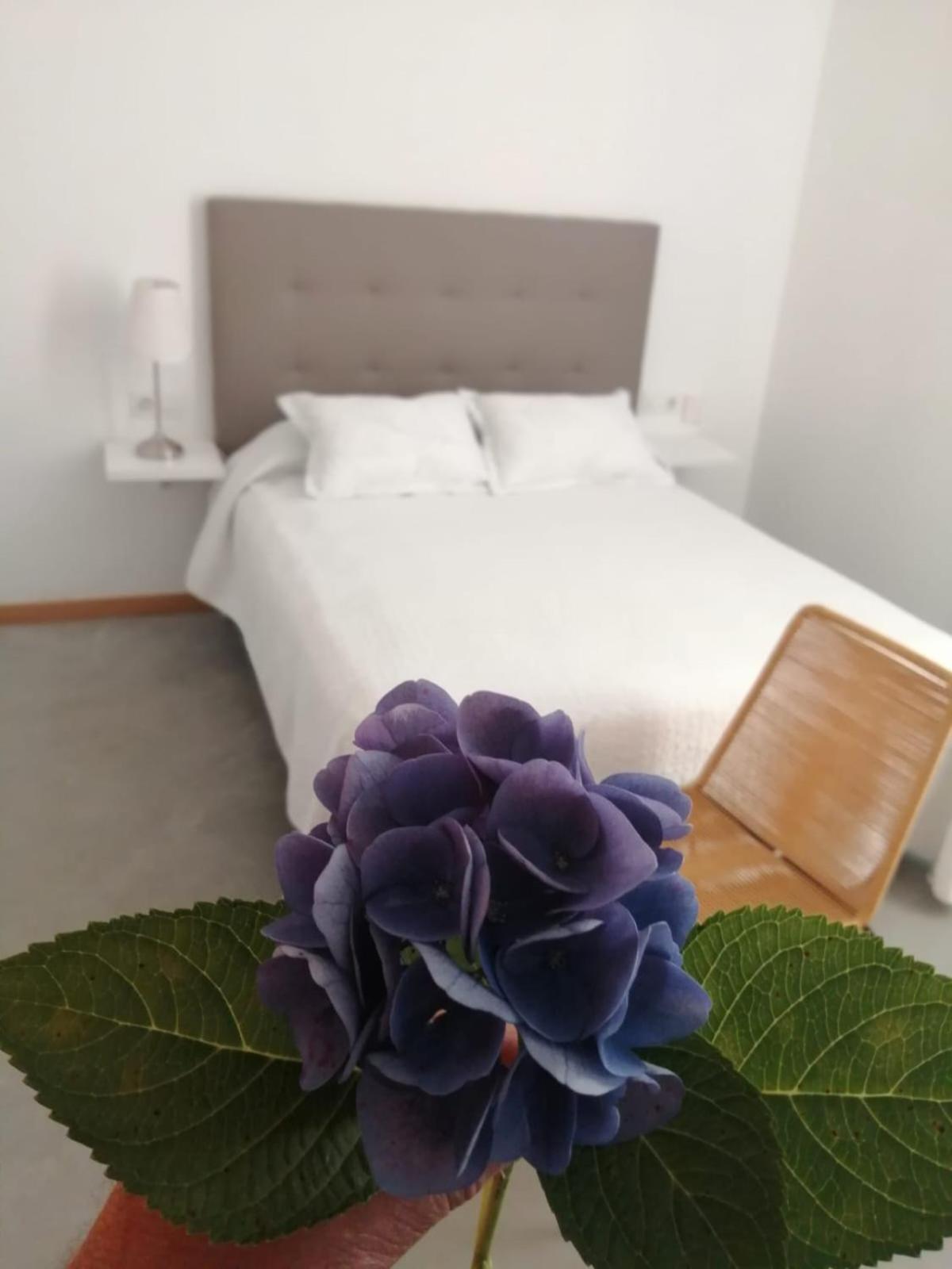 Precioso Vacaciones En Zona Ramallosa * Baiona